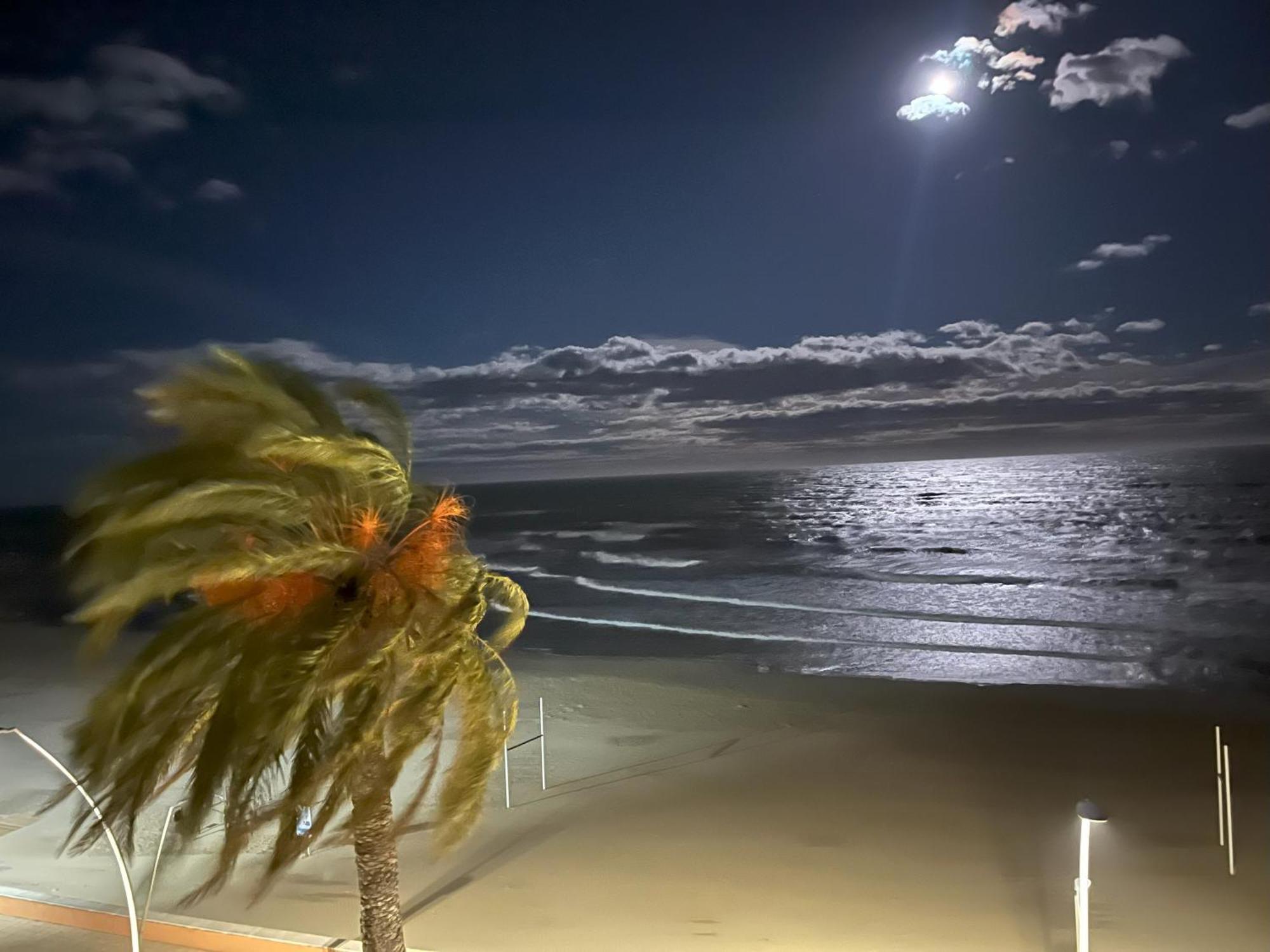 Torrenostra Sea Dream *